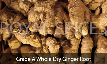 Grade A Whole Dry Ginger Root